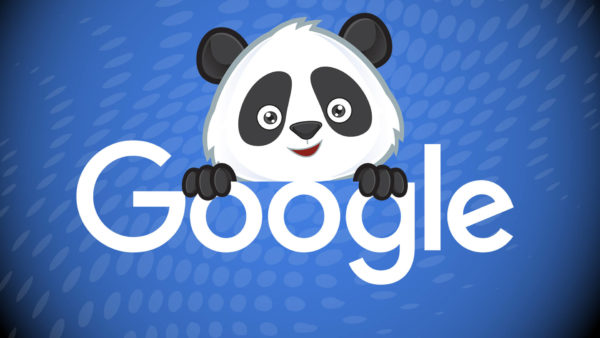 google-panda-name3-ss-1920
