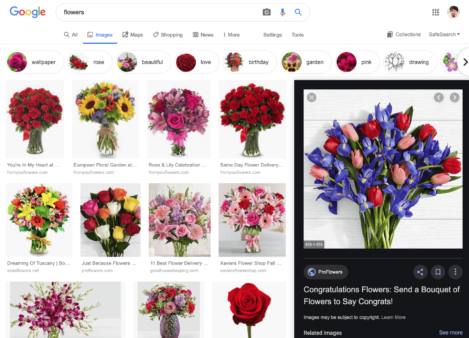 google-images-new-preview